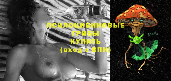 эйфоретик Алексин