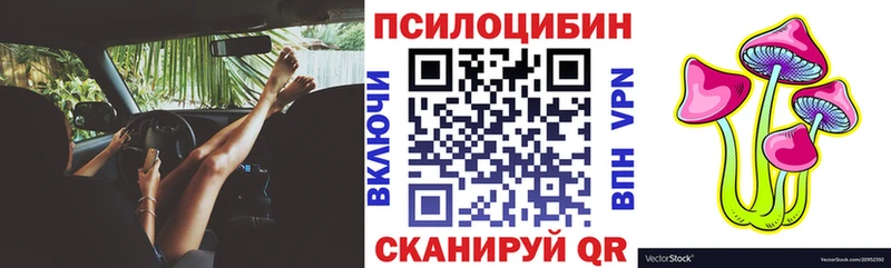 где купить   Коряжма  Псилоцибиновые грибы мицелий 